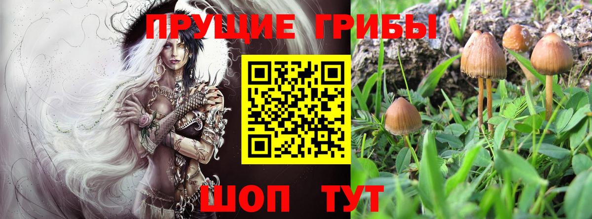 Лосино-Петровский  Псилоцибиновые грибы Psilocybine cubensis  Вход с VPN 