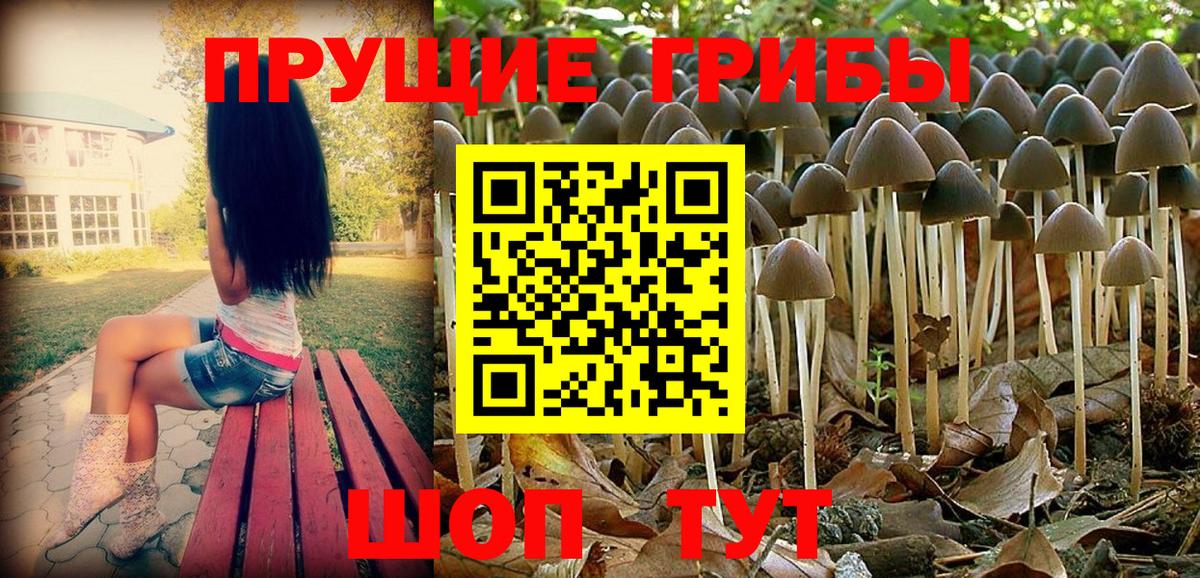 Псилоцибиновые грибы мухоморы Лосино-Петровский